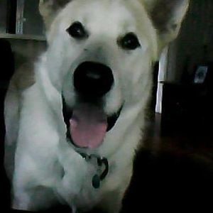 Meet your Posher, Austin